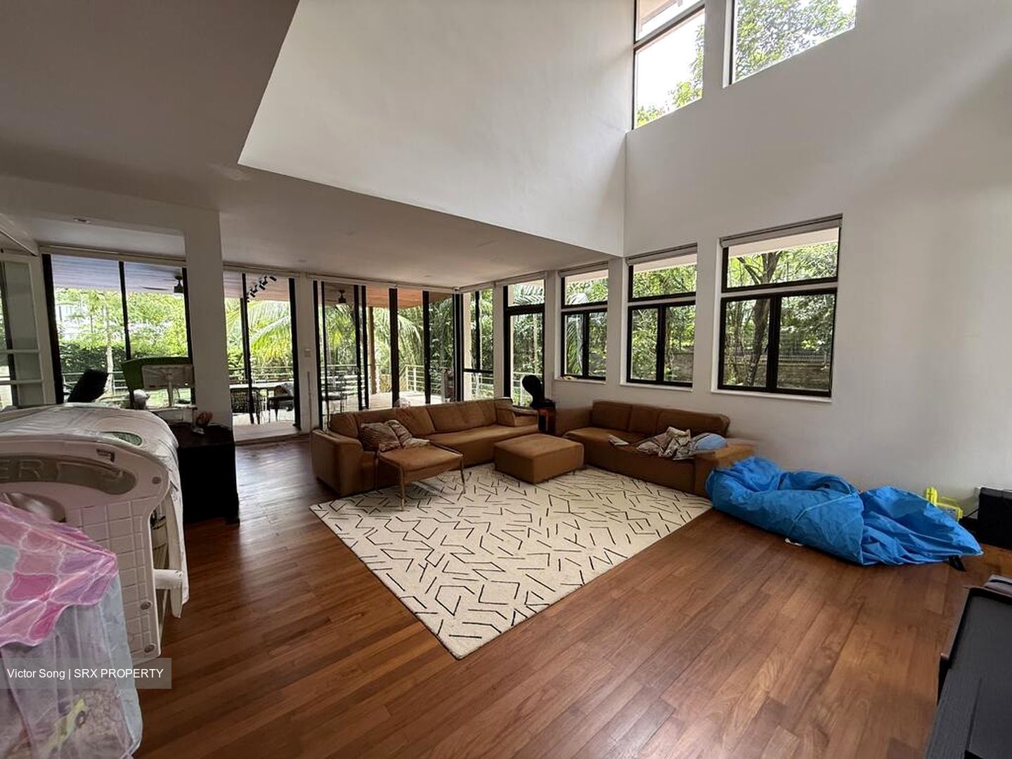 Leedon Park (D10), Detached #501790181